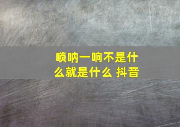 唢呐一响不是什么就是什么 抖音